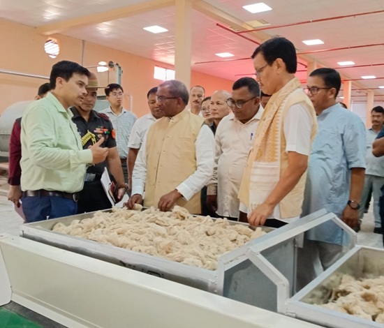Assam Governor