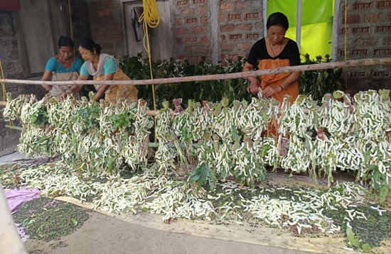 Bodo Women